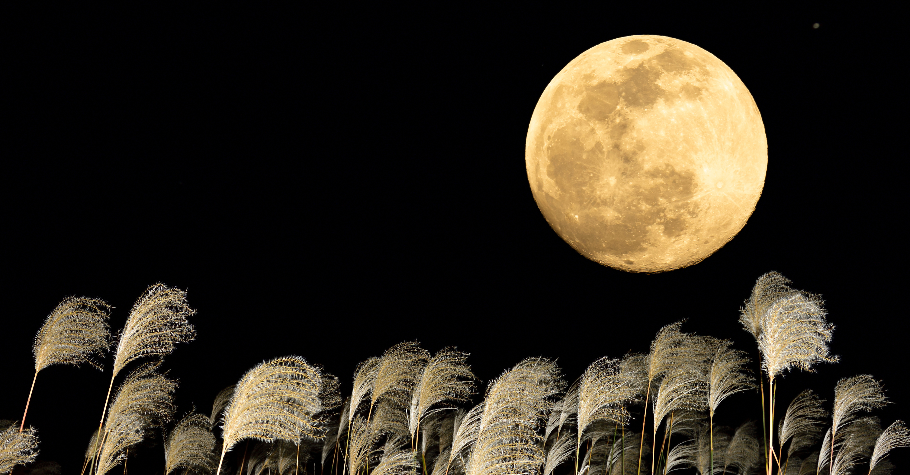 Super Harvest Moon