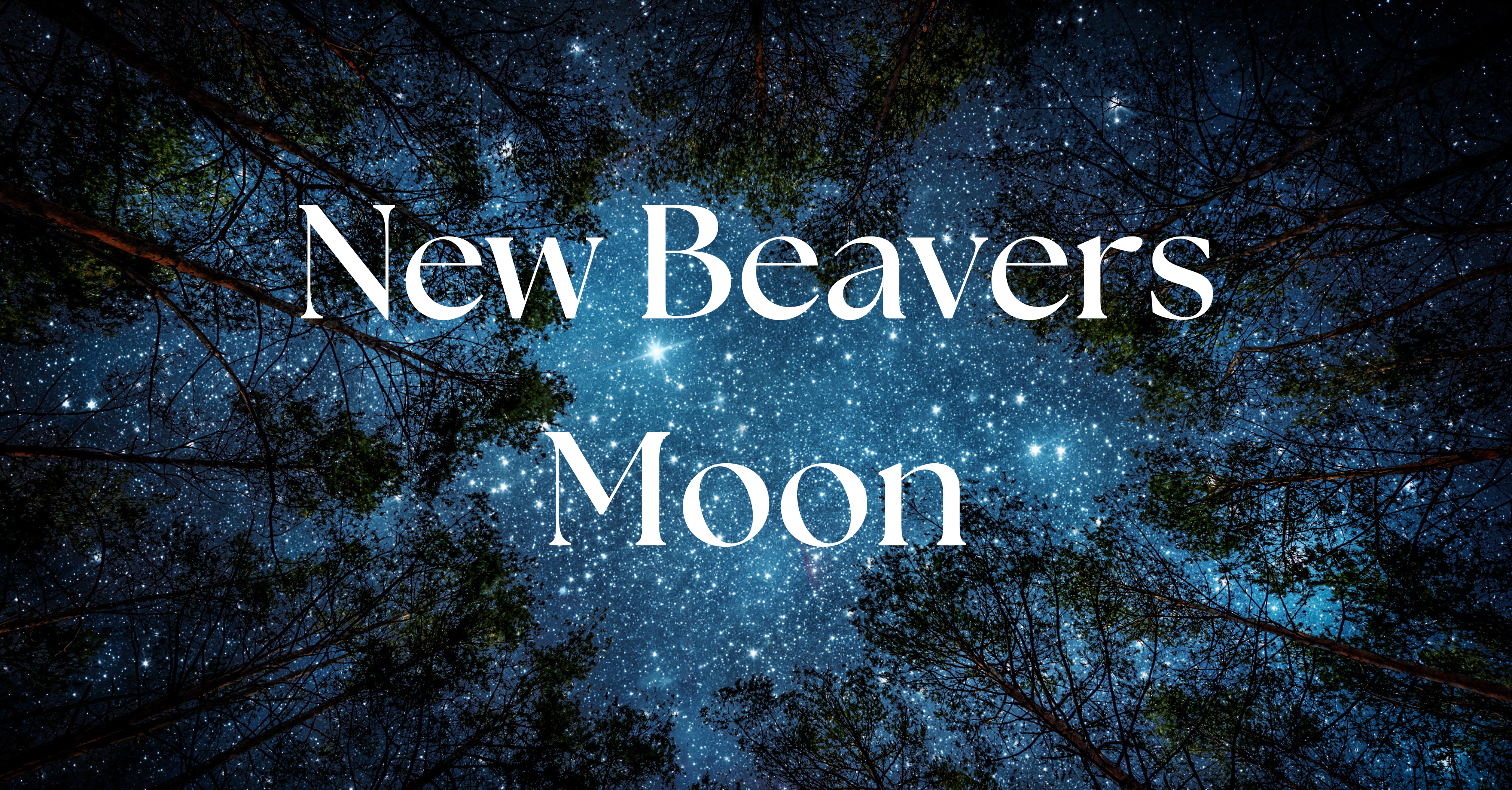 The New Beaver Moon: Setting Intentions for Protection and Preparedness