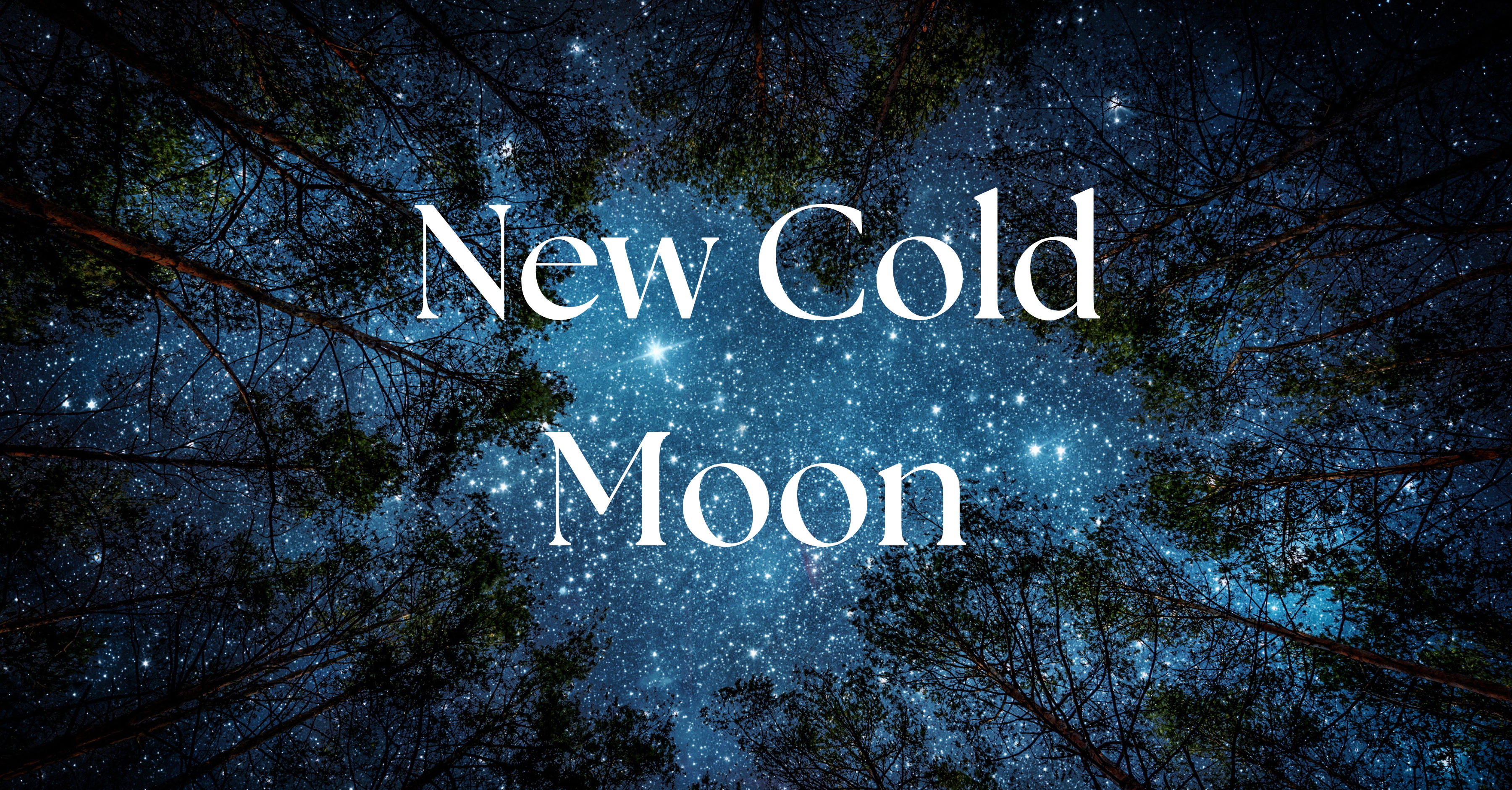 The New Cold Moon: Embracing Stillness and Setting Intentions for Renewal