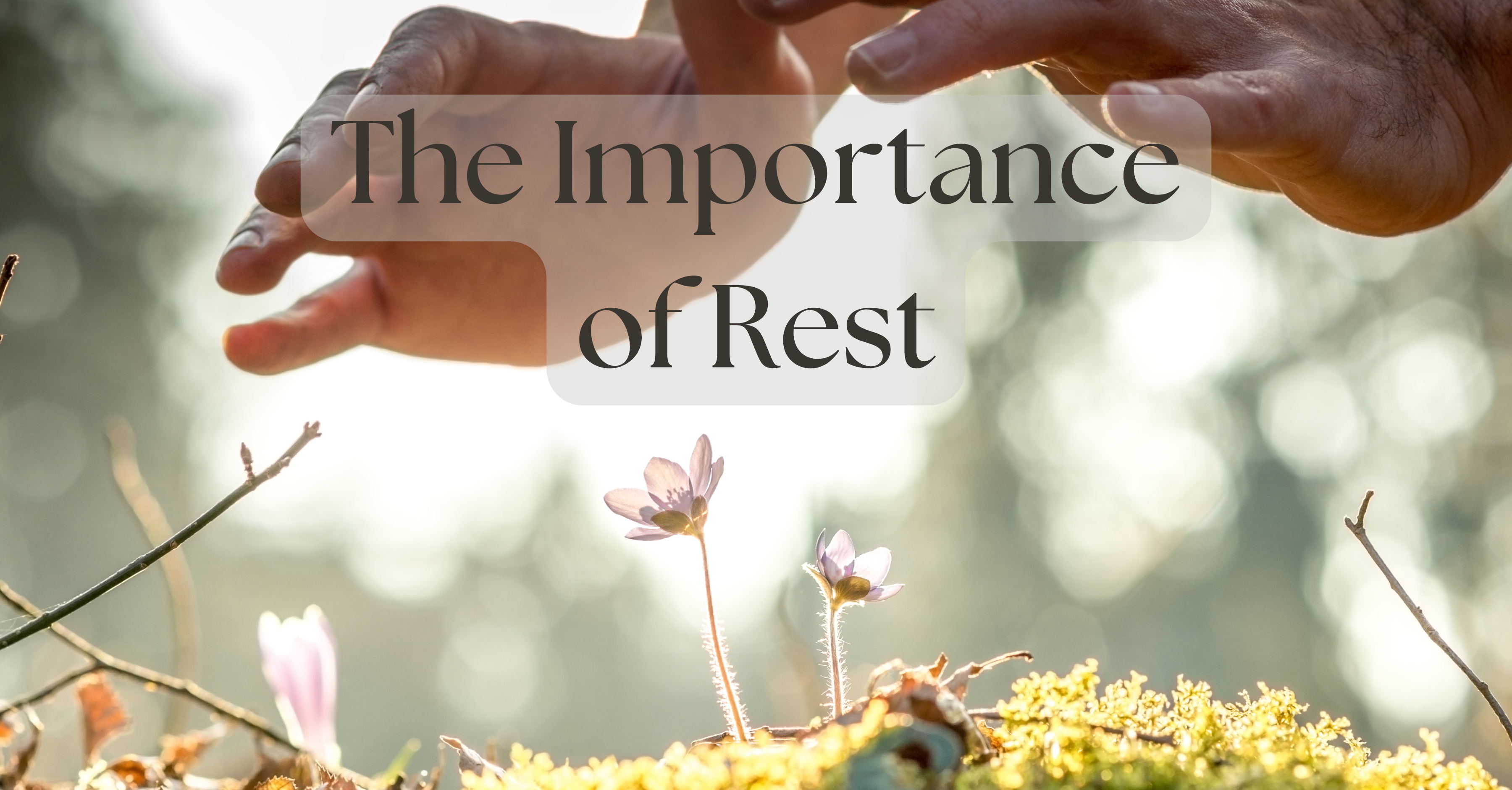 The Importance of Rest in Magical Practice