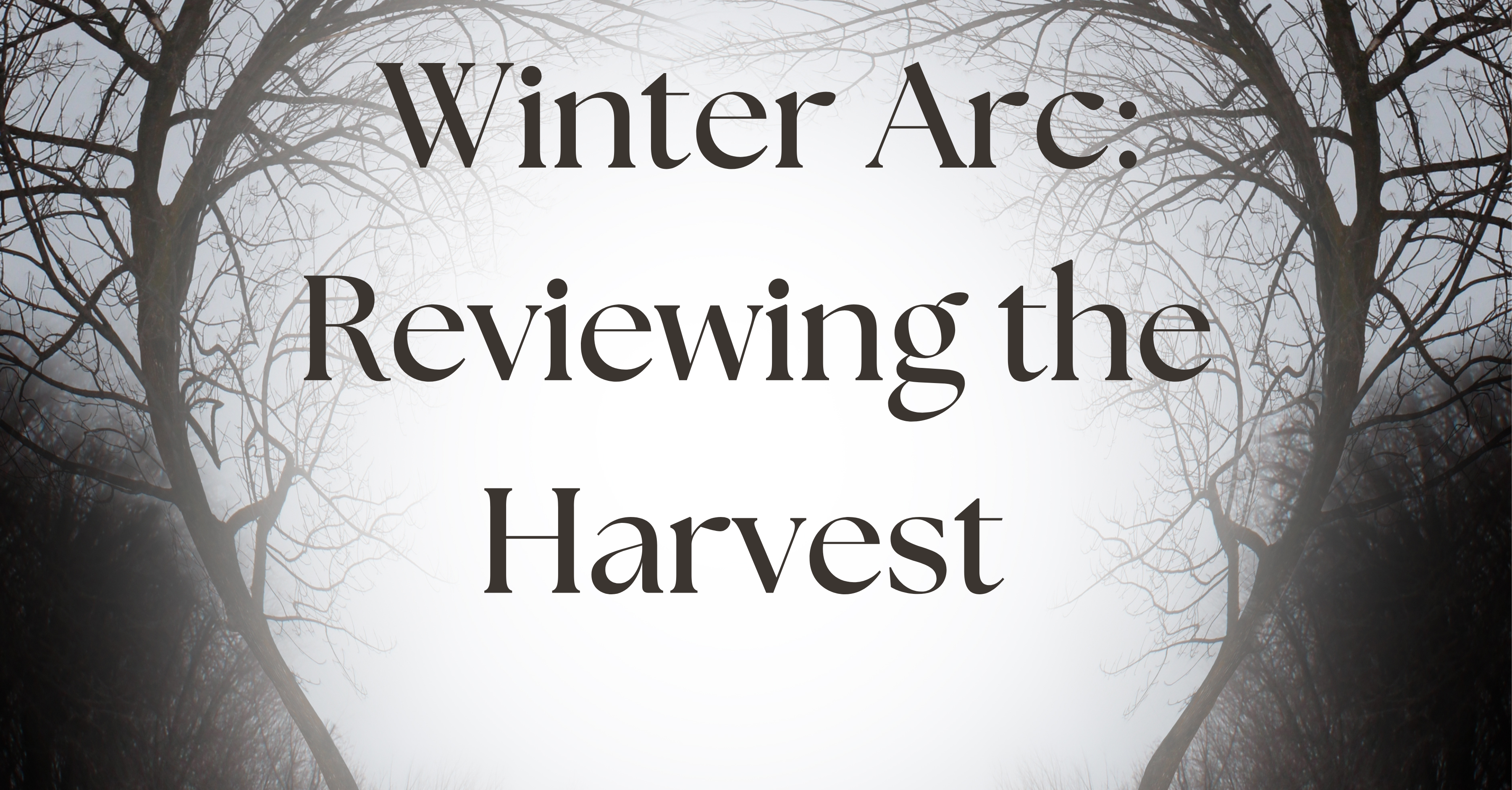 Reviewing the Harvest: Assessing What You’ve Gathered