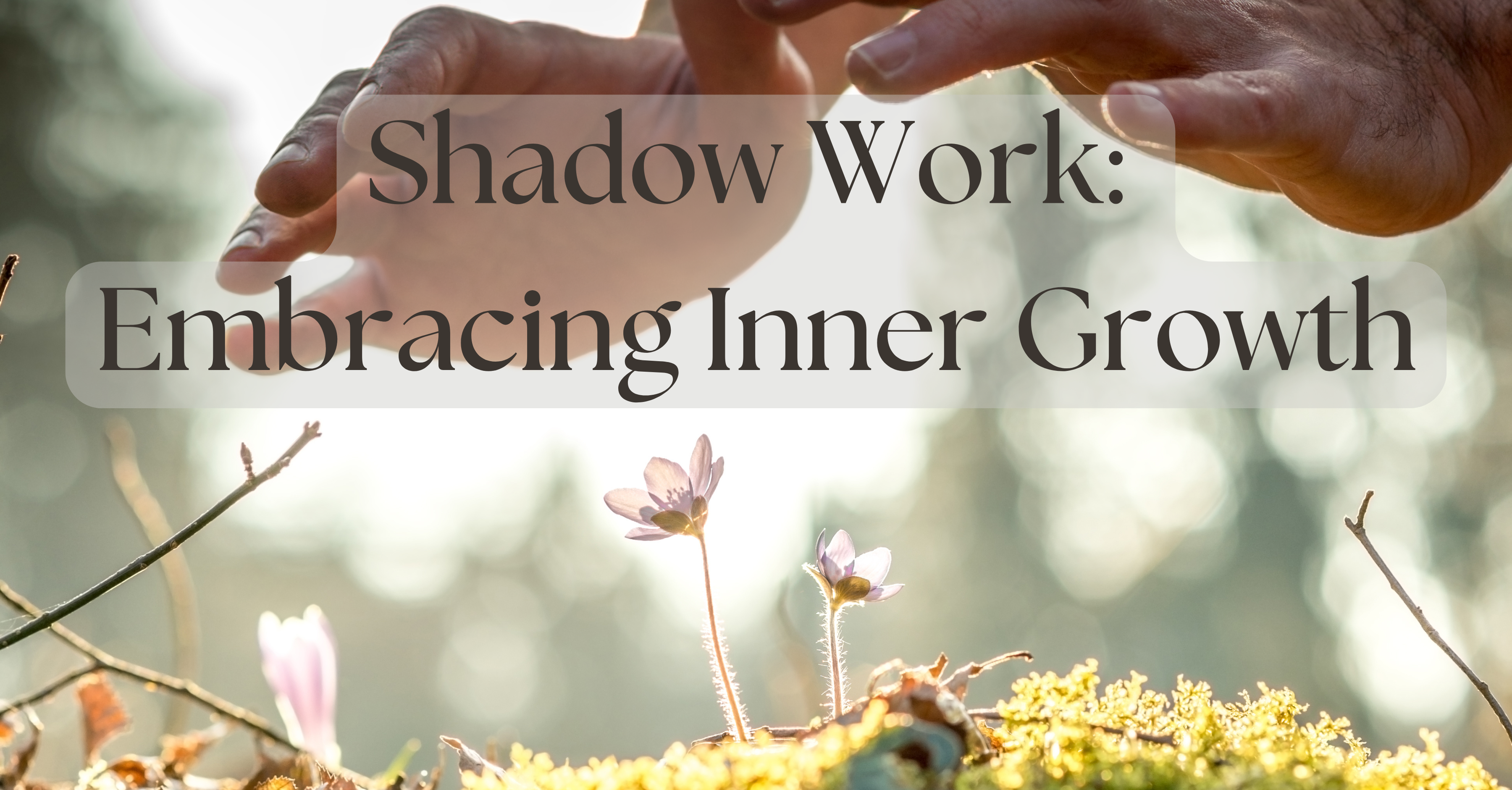 Shadow Work: Embracing Inner Growth