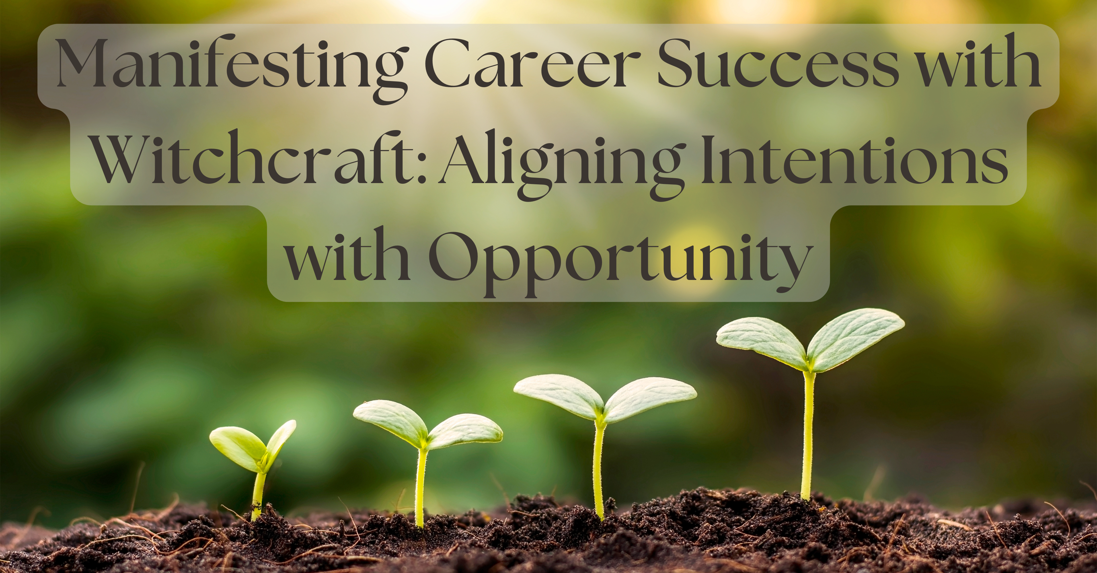 Manifesting Career Success with Witchcraft: Aligning Intentions with Opportunity